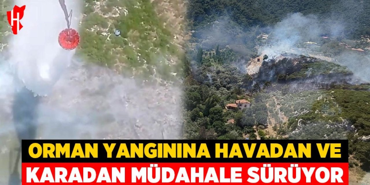 Orman yangınına müdahale devam ediyor