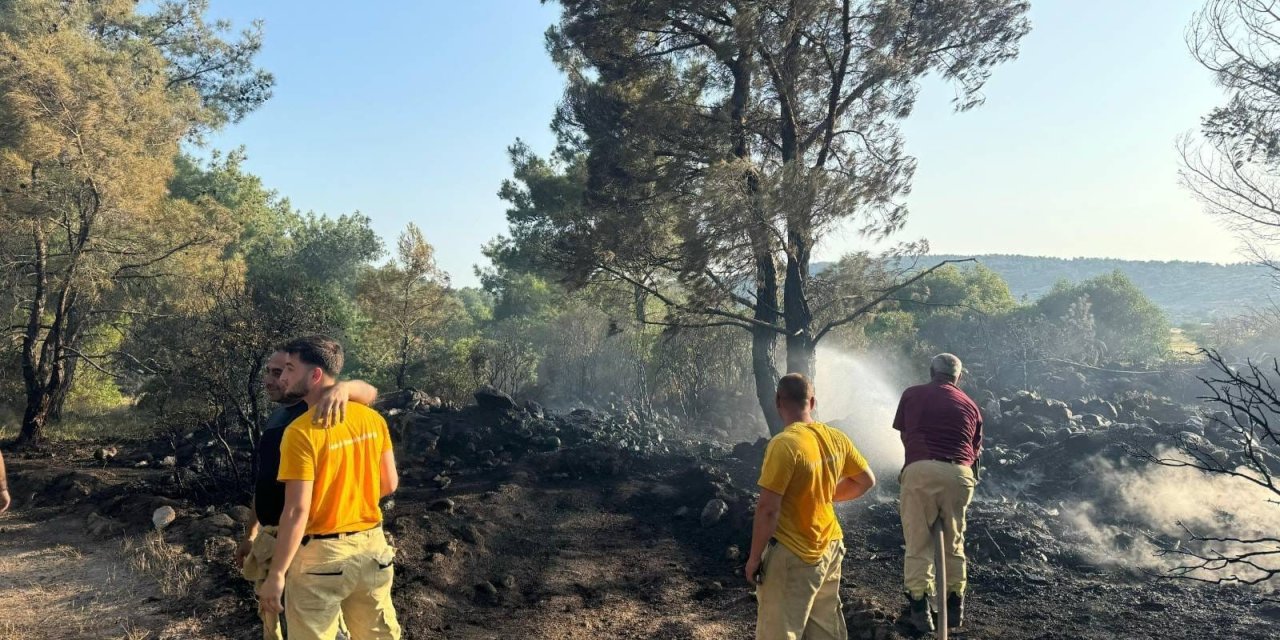 Yaktığı mangal orman yangınına neden olmuştu: Tutuklandı