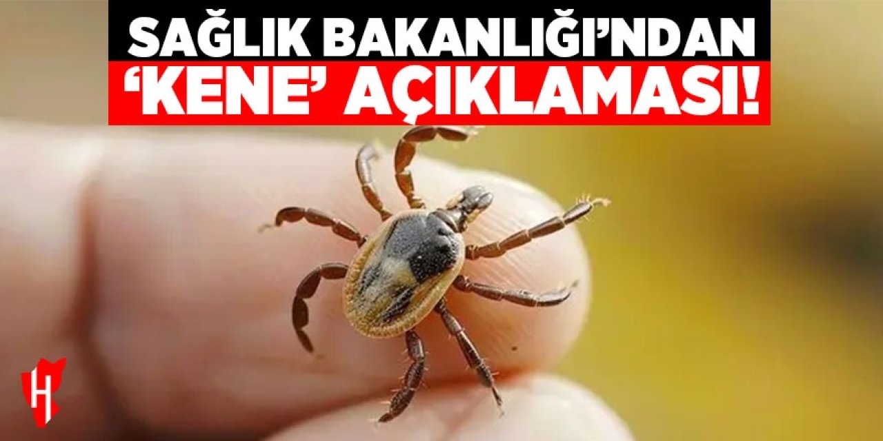 Sağlık Bakanlığı'ndan 'kene' açıklaması!
