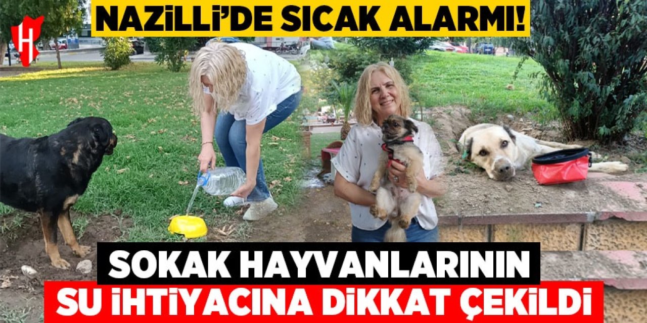 Nazilli'de sıcak alarmı! Sokak hayvanlarının su ihtiyacına dikkat çekildi!