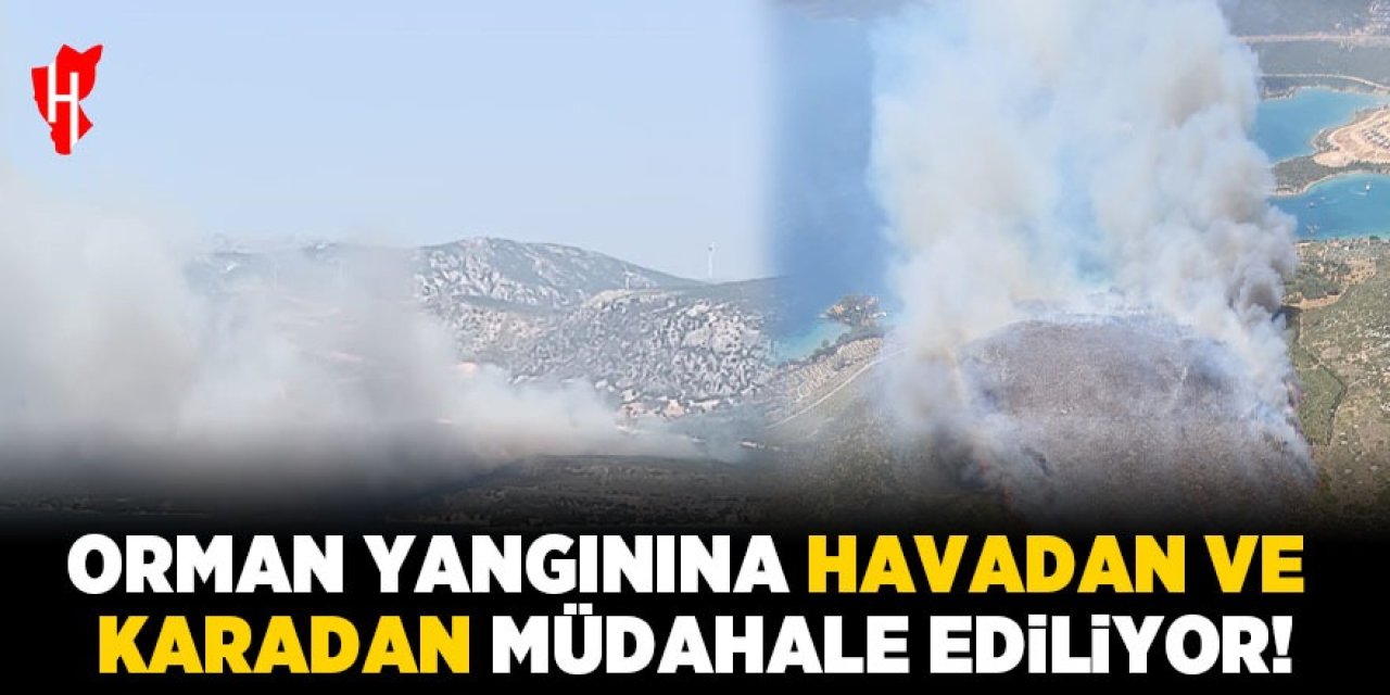 Orman yangınına havadan ve karadan müdahale sürüyor