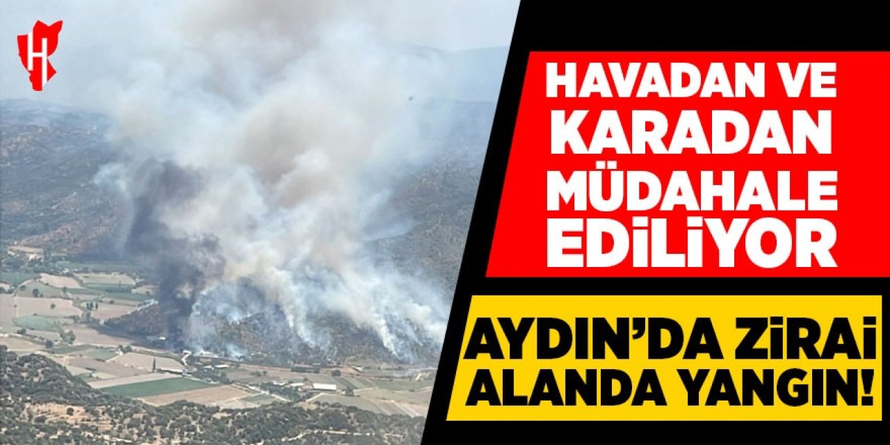Aydın'da yangın! Söndürme çalışmaları sürüyor