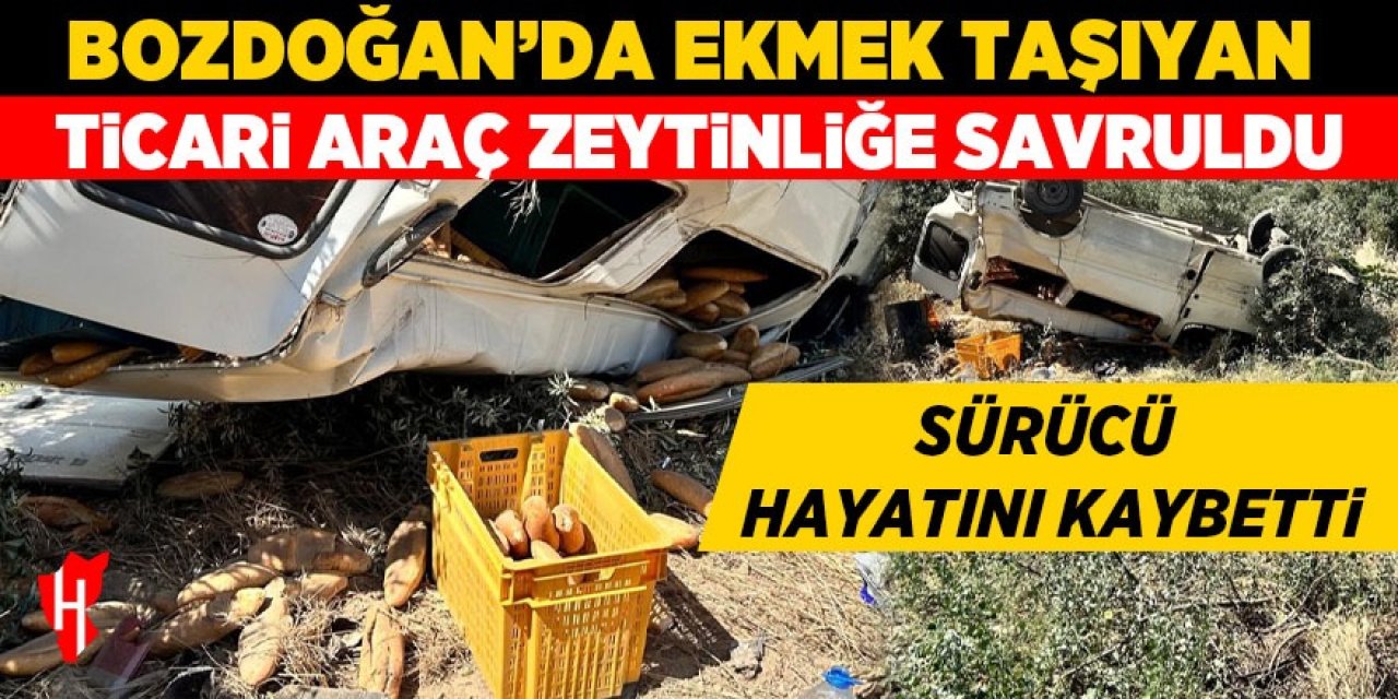 Bozdoğan'da feci kaza! Zeytinliğe savrulan aracın sürücüsü hayatını kaybetti