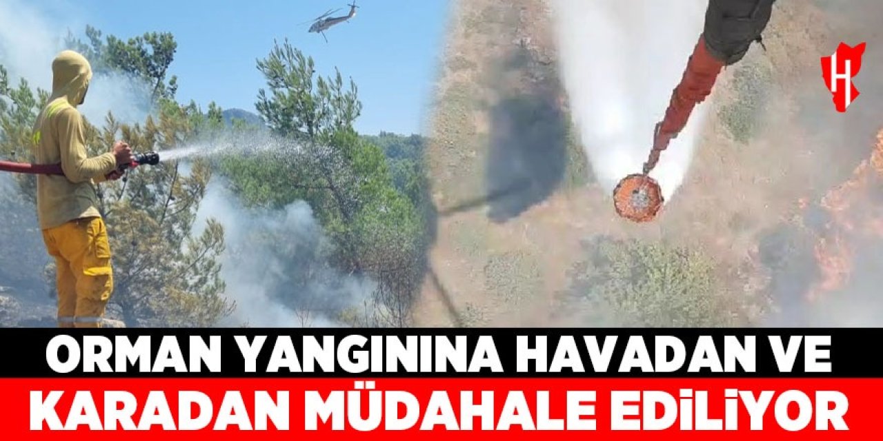 Orman yangınına havadan ve karadan müdahale ediliyor