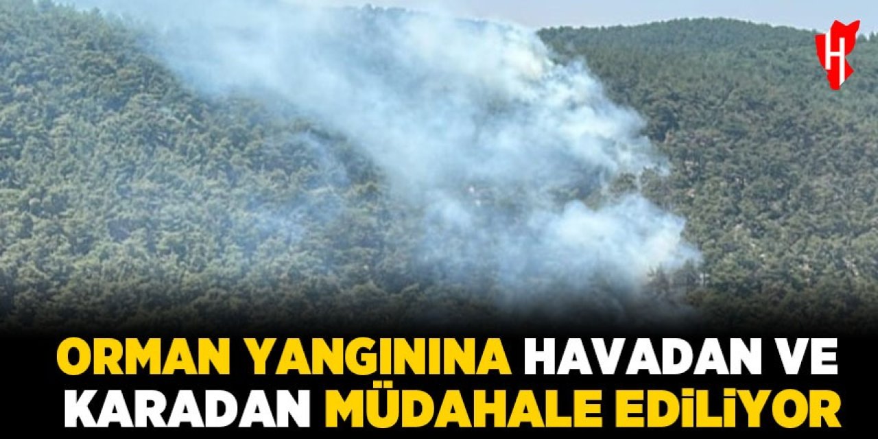Ekipler orman yangınını söndürmek için aralıksız müdahale ediyor