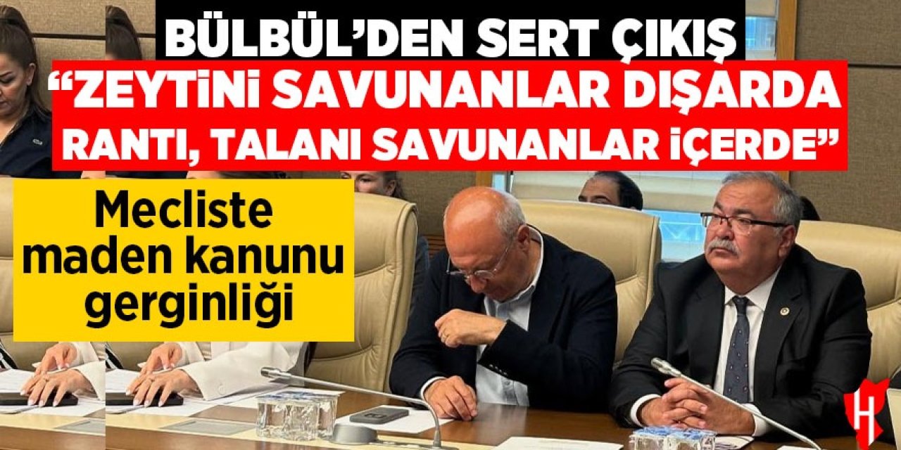 Bülbül'den sert çıkış: "Zeytini savunanlar dışarda, rantı, talanı savunanlar içerde"