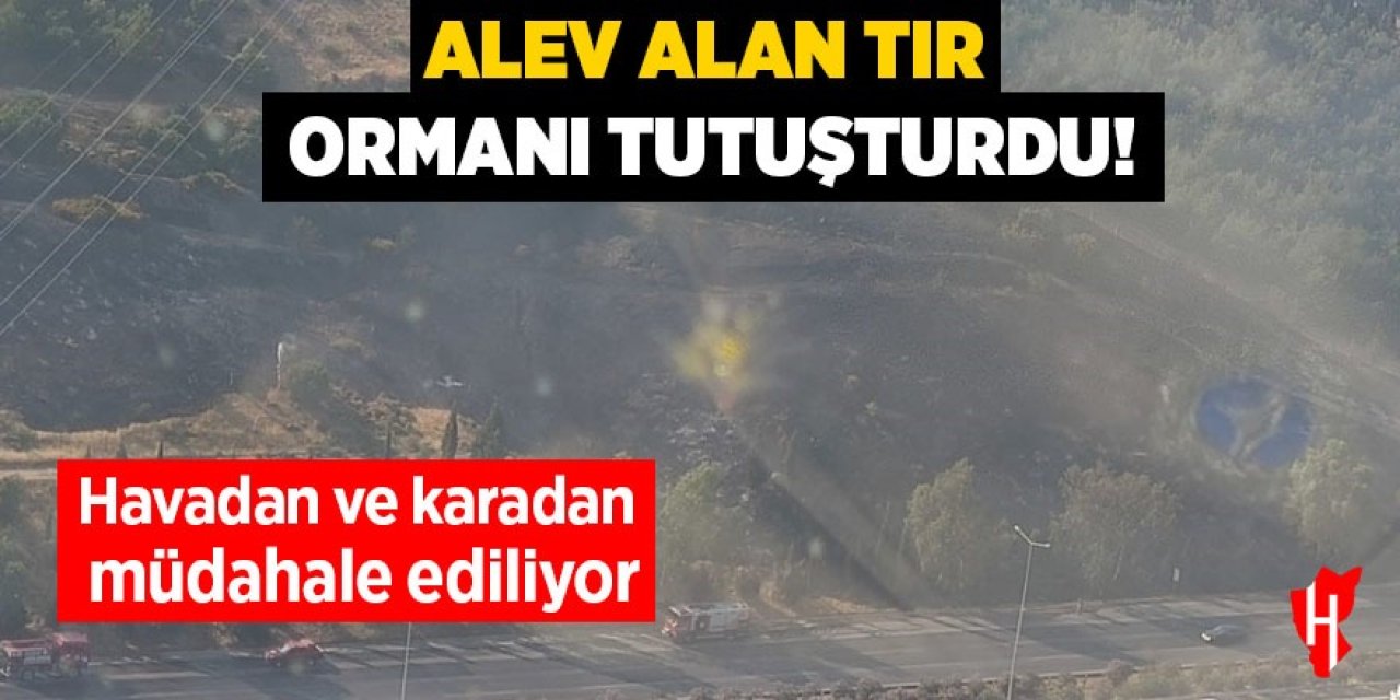 Alev alan tır ormanı tutuşturdu!