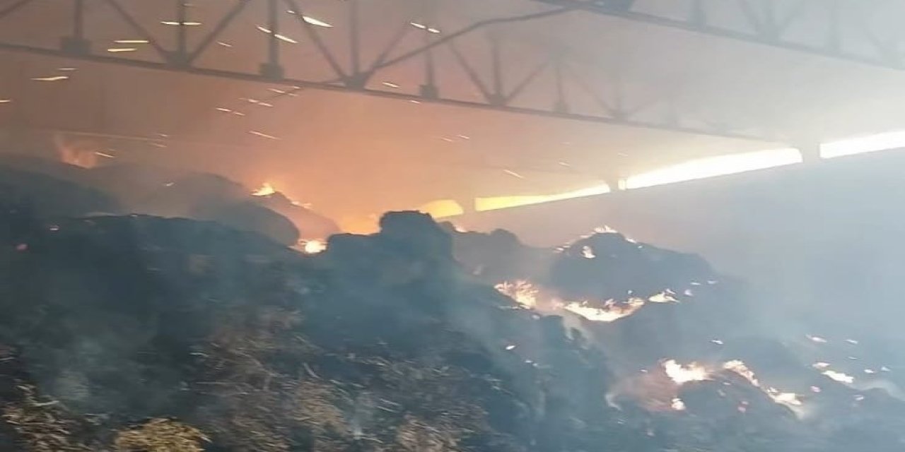 Samanlık yangını: Binlerce balya saman kül oldu