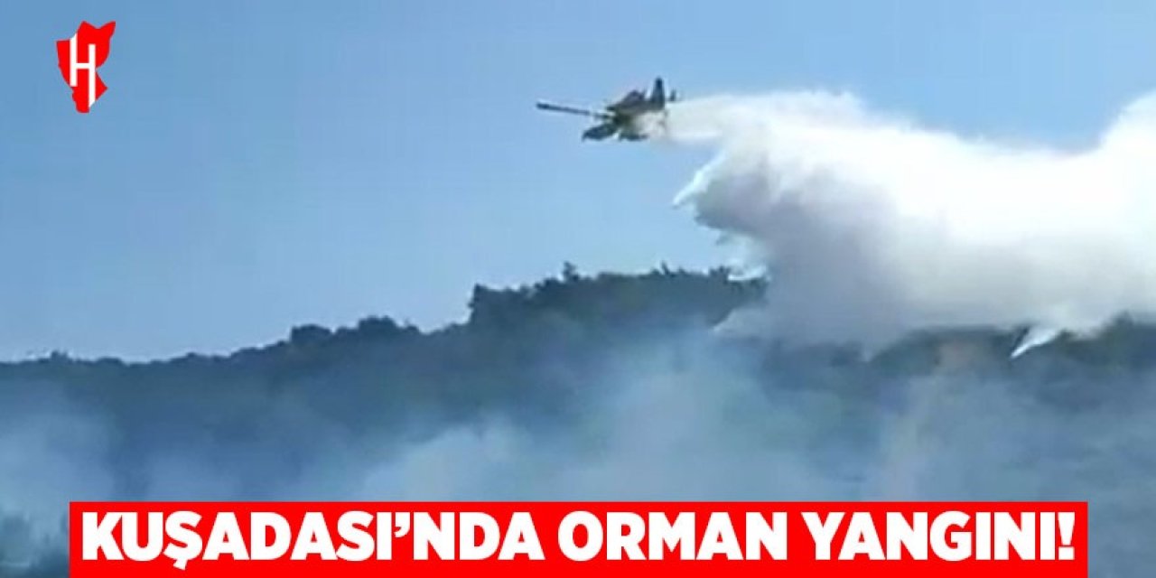 Kuşadası'nda orman yangını
