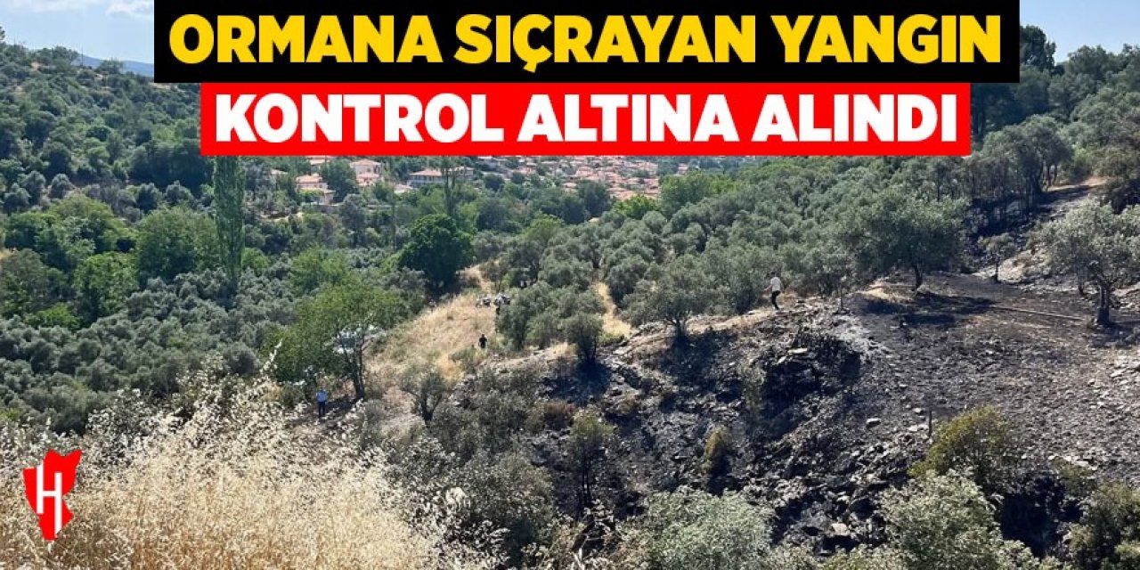 Ormana sıçrayan yangın kontrol altına alındı