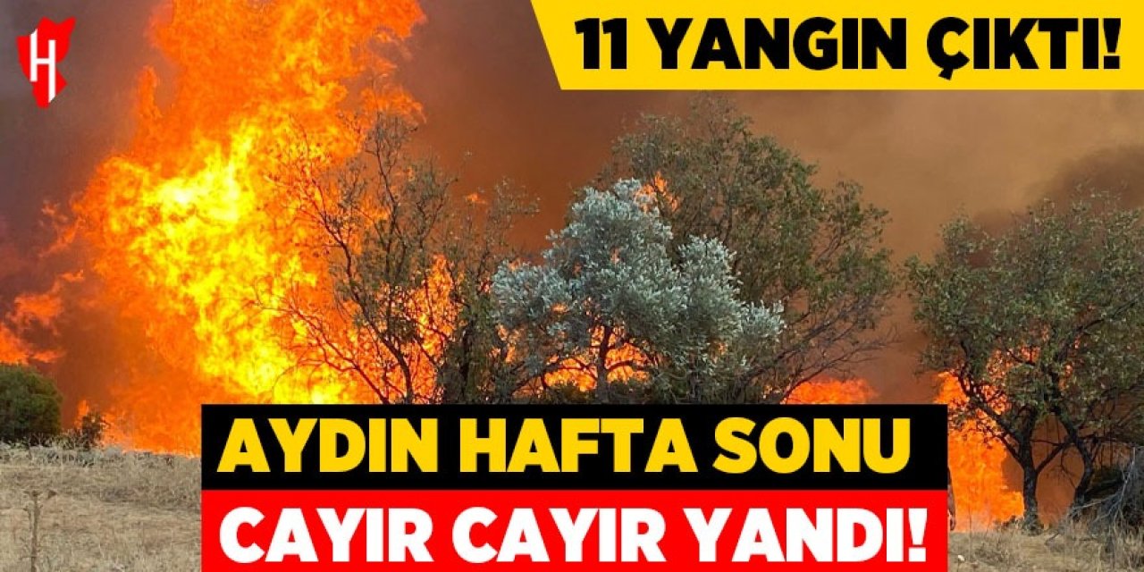 Aydın hafta sonu cayır cayır yandı! 11 yangın çıktı!