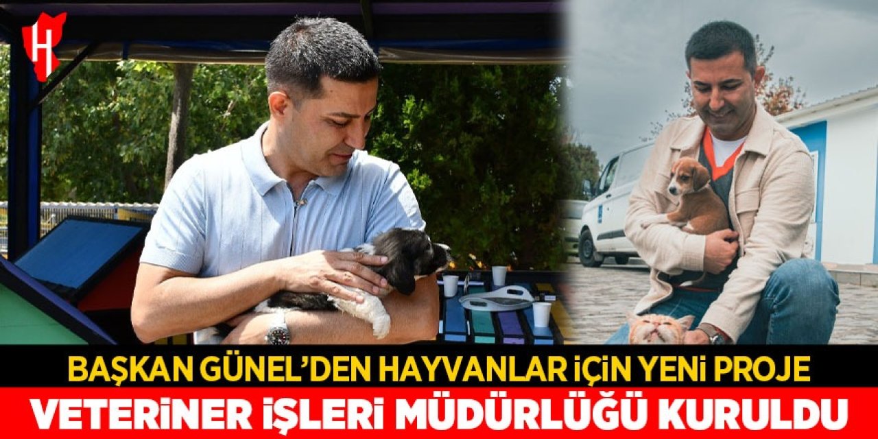 Kuşadası'nda Veteriner İşleri Müdürlüğü kuruldu