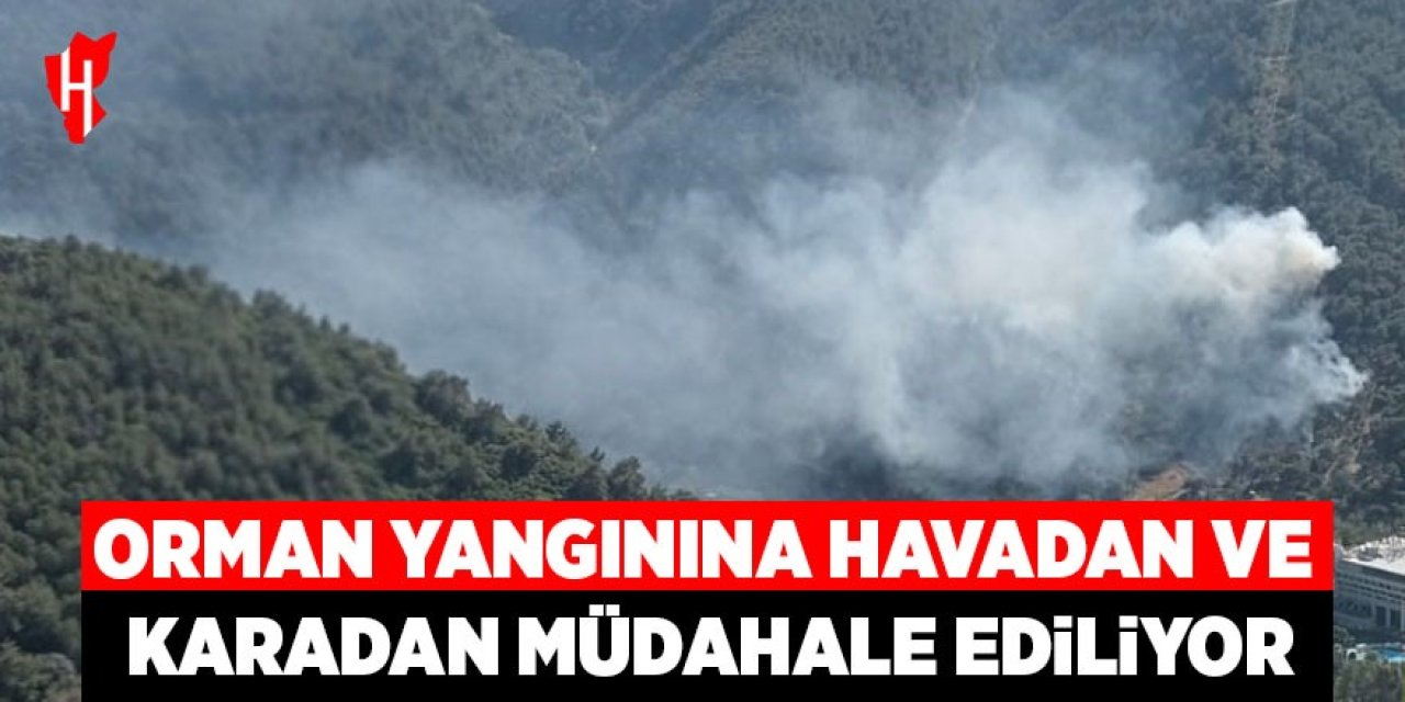 Orman yangınına havadan ve karadan müdahale ediliyor