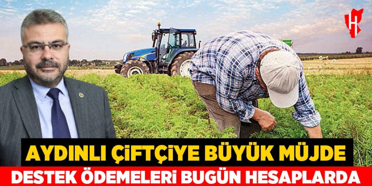 Aydınlı çiftçiye büyük müjde: Destek ödemeleri bugün hesaplarda!