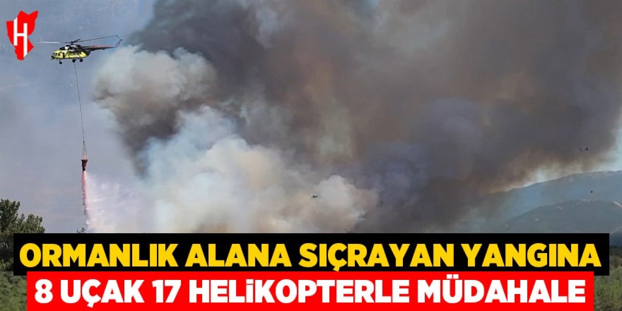 Ormanlık alana sıçrayan yangına 8 uçak 17 helikopter ile müdahale ediliyor