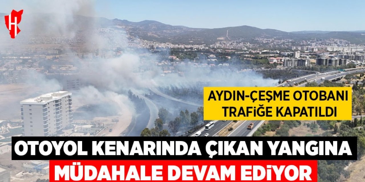 Otoyol kenarında çıkan yangına müdahale ediliyor