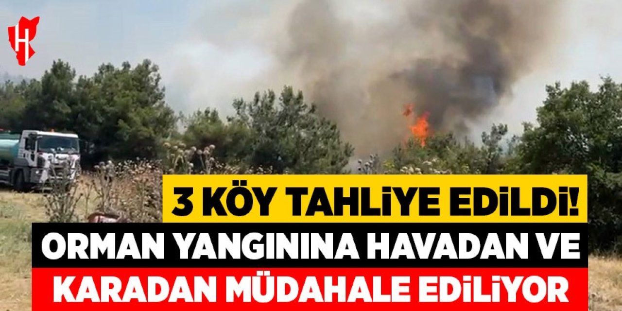 Orman yangınına müdahale sürüyor: 3 köy boşaltıldı