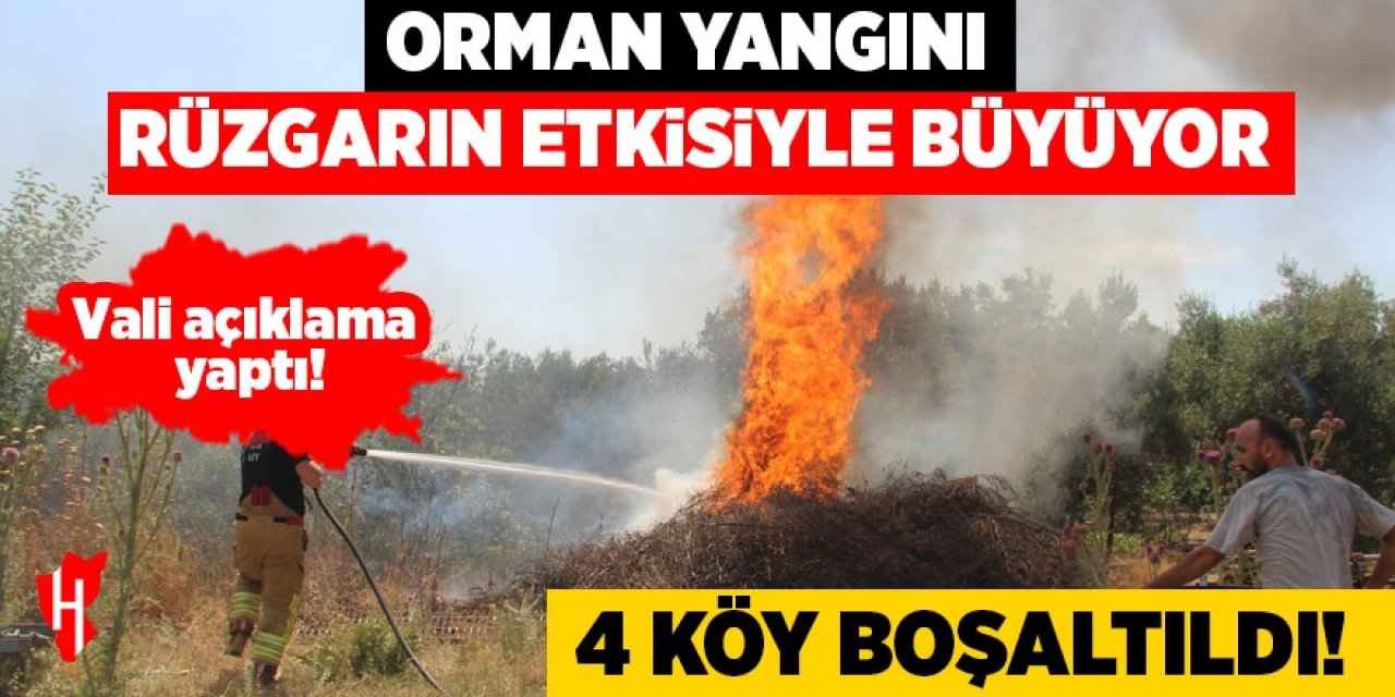 Orman yangını rüzgarın etkisiyle büyüyor! Vali açıkladı: 4 köy boşaltıldı!