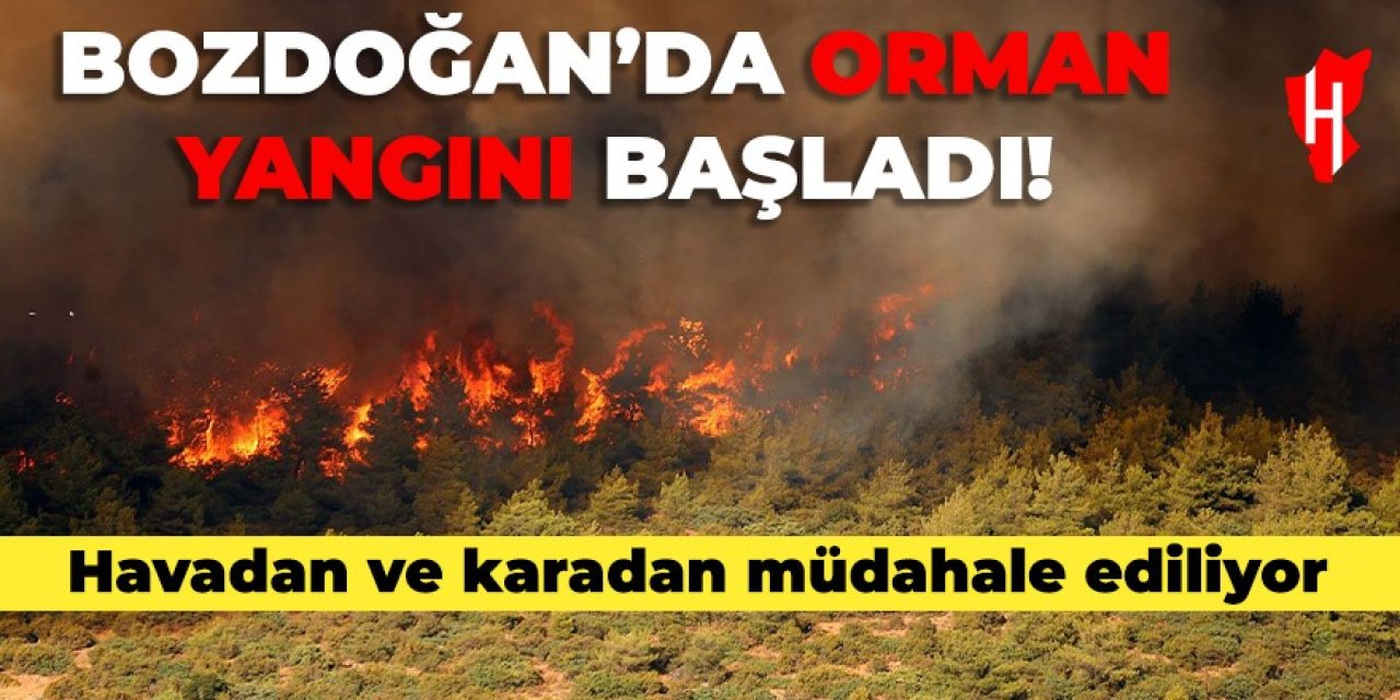 Bozdoğan’da korkutan orman yangını!  Havadan ve karadan müdahale başladı