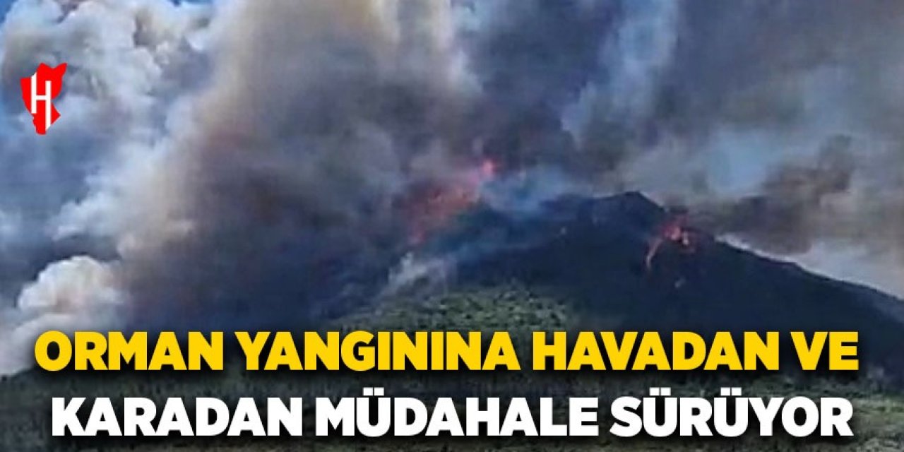 Orman yangınına müdahale devam ediyor