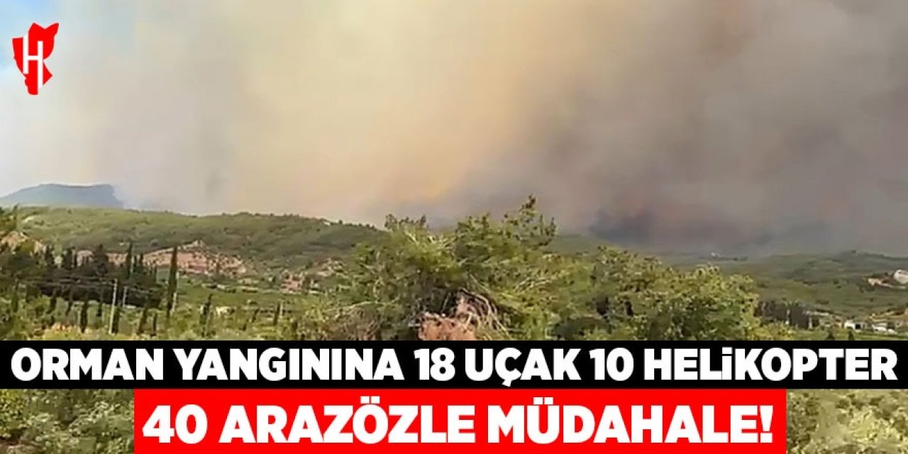 Orman yangınına 18 uçak, 10 helikopter, 40 arazözle müdahale ediliyor