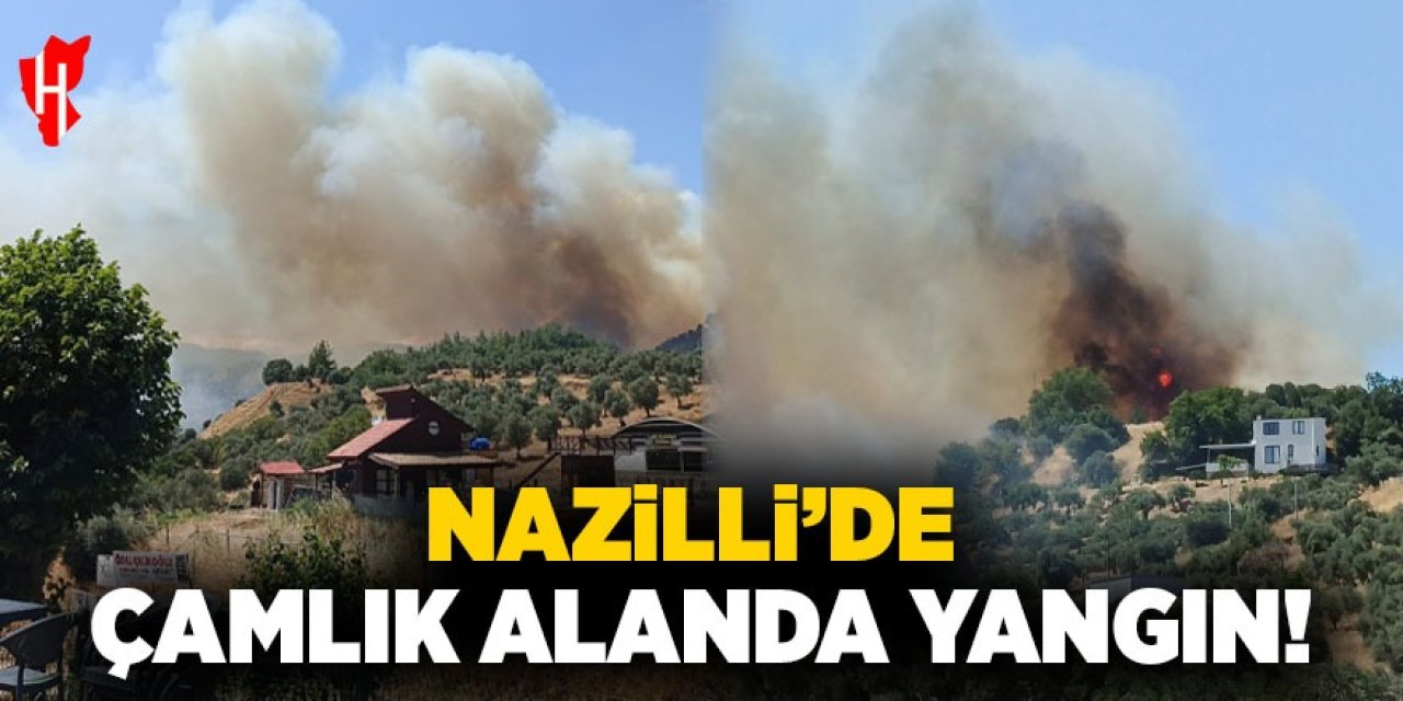 Nazilli'de çamlık alanda yangın çıktı!