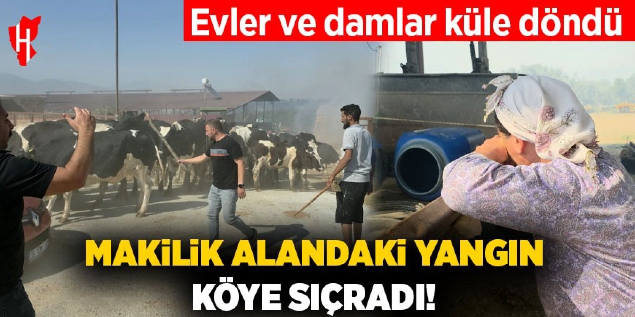 Köye sıçrayan alevler evleri ve damları küle çevirdi!