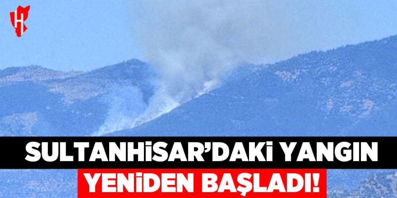 Sultanhisar'daki yangın yeniden başladı!