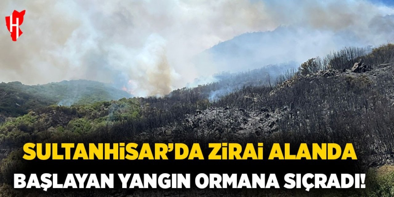 Sultanhisar'da başlayan yangın ormana sıçradı!
