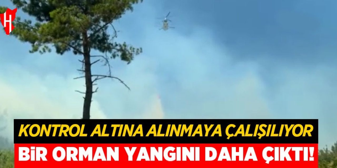 Bir orman yangını daha çıktı: Kontrol altına alınmaya çalışılıyor!
