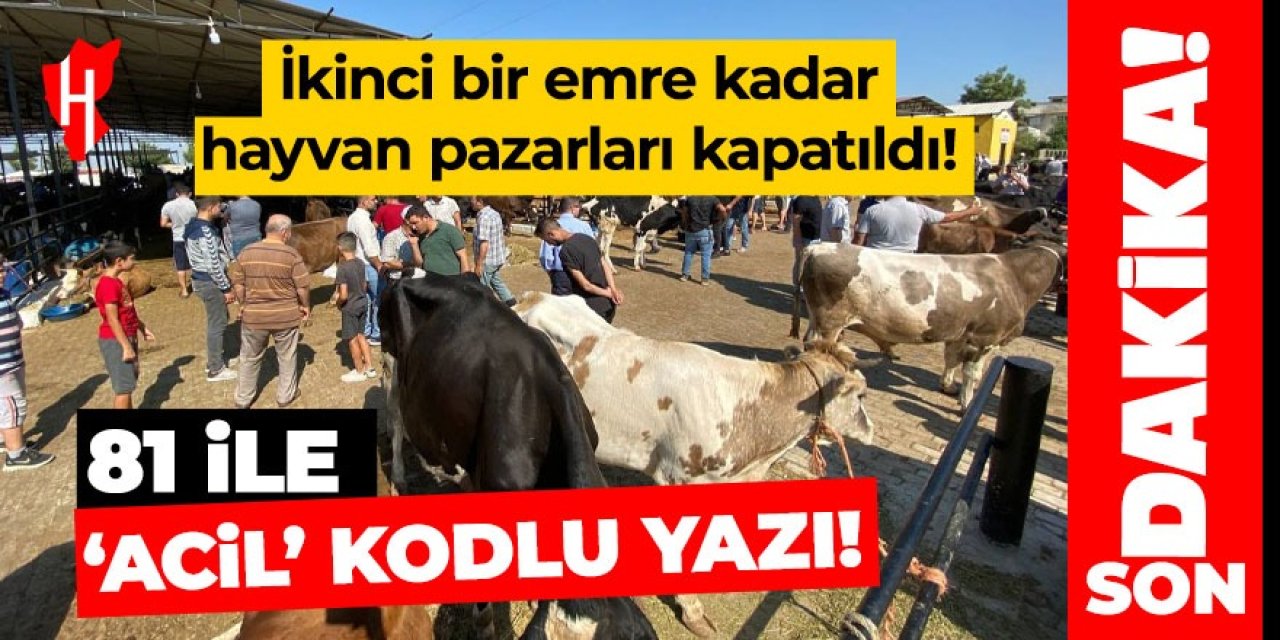 Aydın’da hayvan pazarları ikinci bir emre kadar kapatıldı!