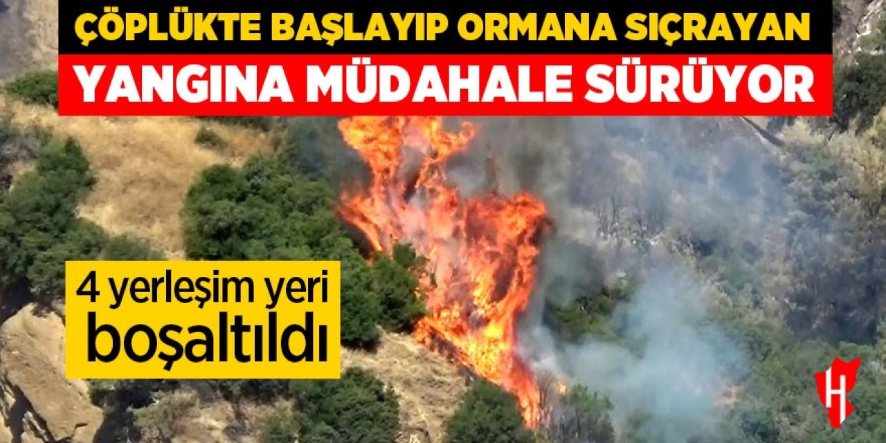 Çöplükte başlayıp ormana sıçrayan yangına müdahale ediliyor
