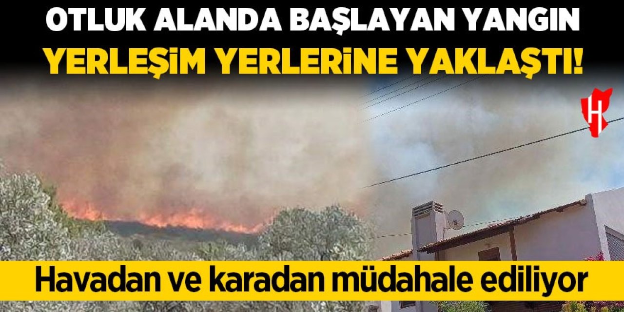 Otluk alanda çıkan yangın yerleşim yerlerine ilerliyor!