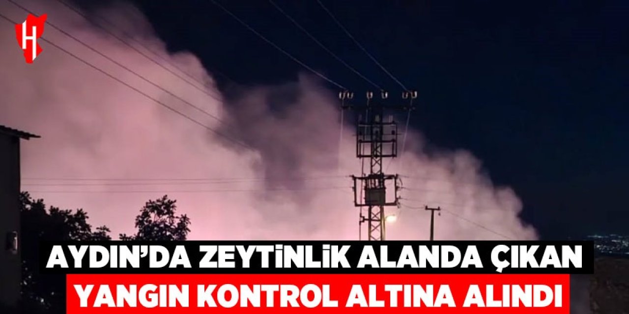 Aydın'da zeytinlik alanda çıkan yangın kontrol altına alındı