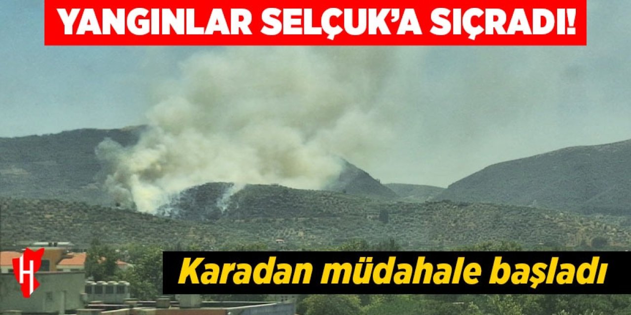 Yangınlar Selçuk'a sıçradı!