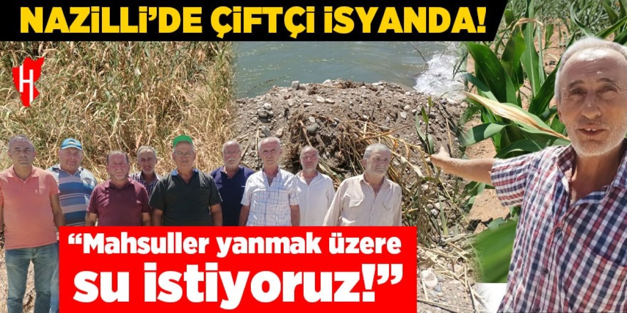 Nazilli’de çiftçi isyanda: Mahsuller yanmak üzere, su istiyoruz!