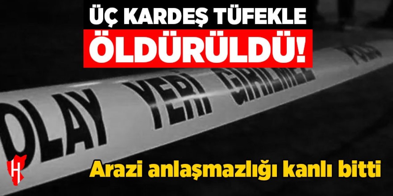 Arazi anlaşmazlığı kanlı bitti: 3 kardeş öldürüldü!