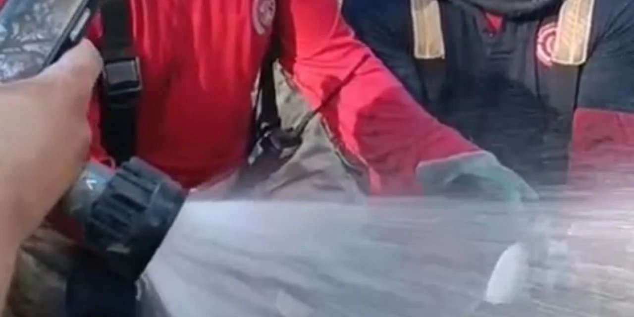 Yangınında itfaiyeciler balığı kurtardı