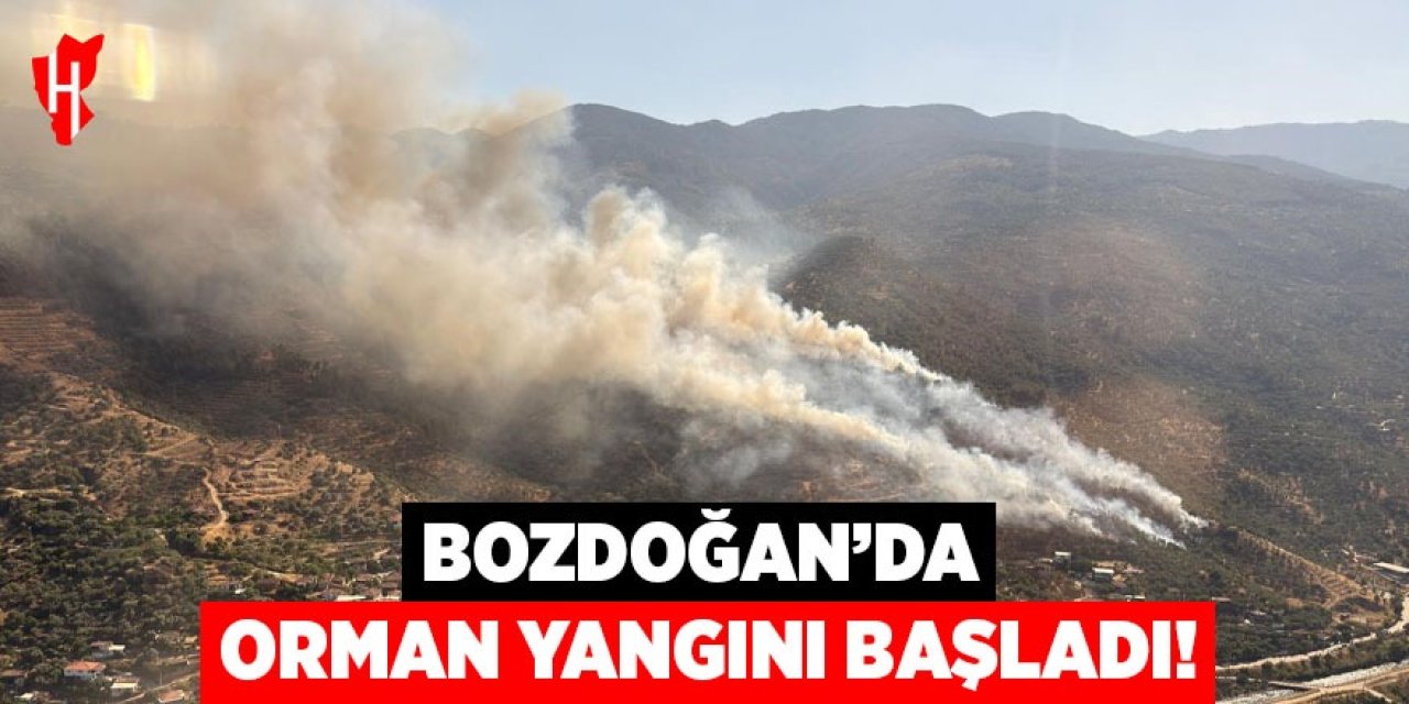 Bozdoğan'da orman yangını başladı