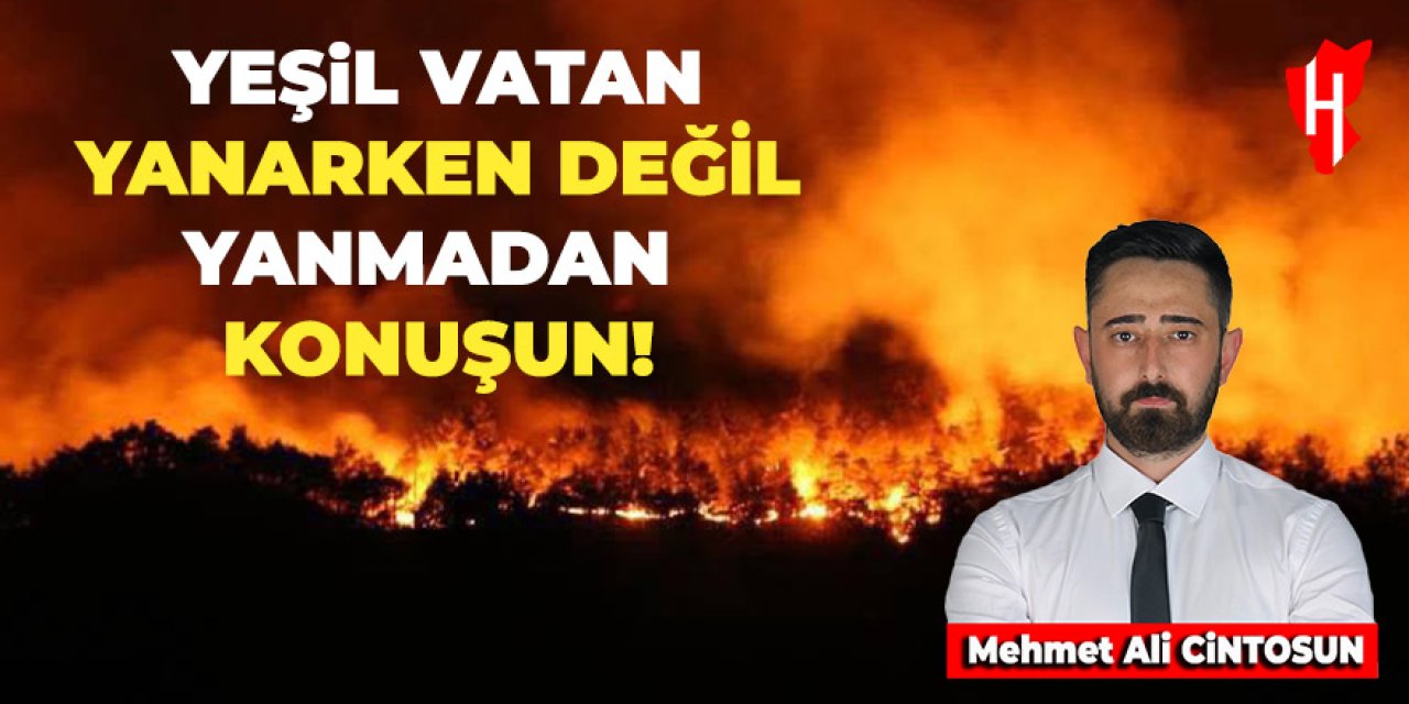 Gazeteci Mehmet Ali Cintosun: Yeşil Vatan yanarken değil, yanmadan konuşun