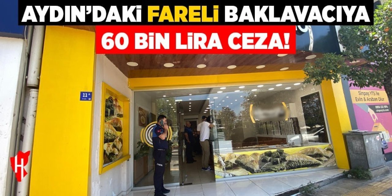 Aydın'daki fareli baklavacıya 60 bin TL ceza kesildi!