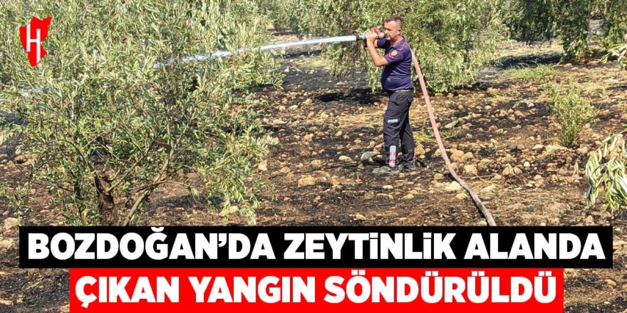 Bozdoğan'da çıkan yangın hızlı müdahale ile söndürüldü