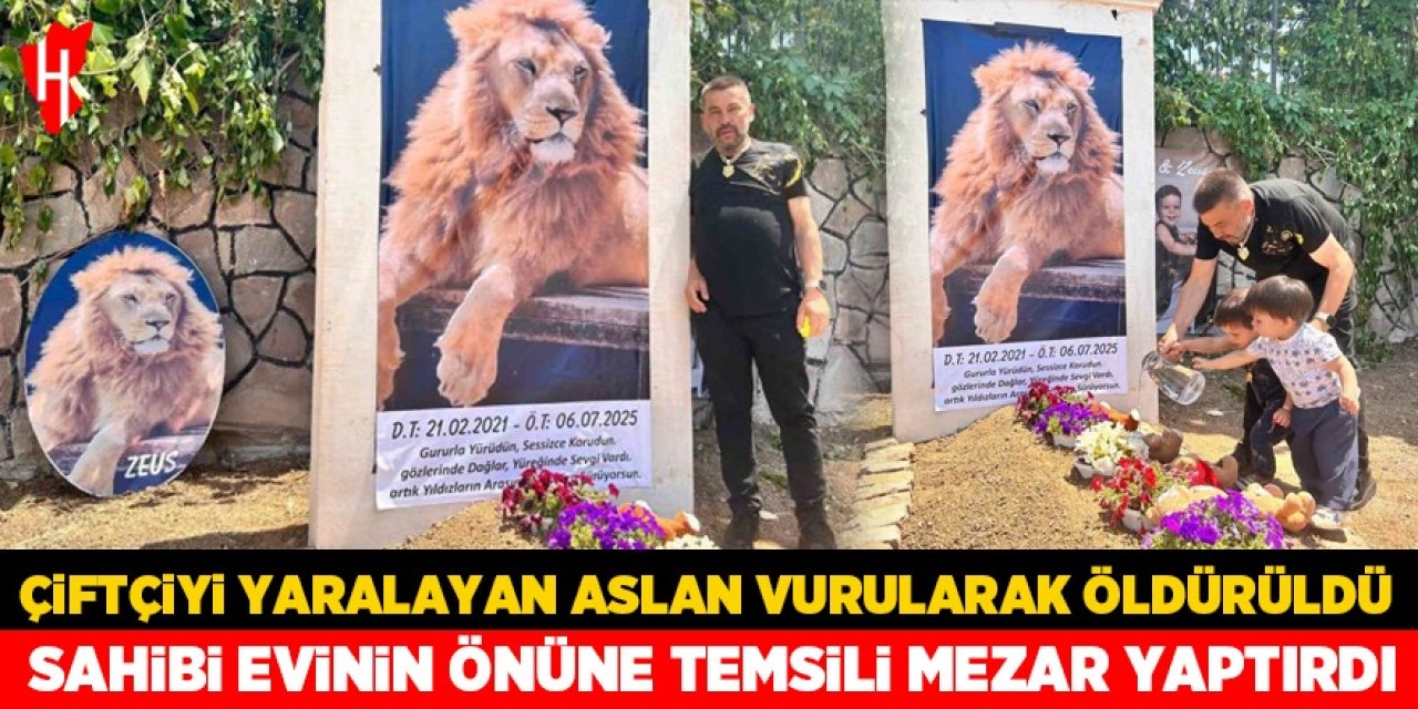 Çiftçiyi yaralayan aslan vurularak öldürüldü: Sahibi evinin önüne temsili mezar yaptırdı