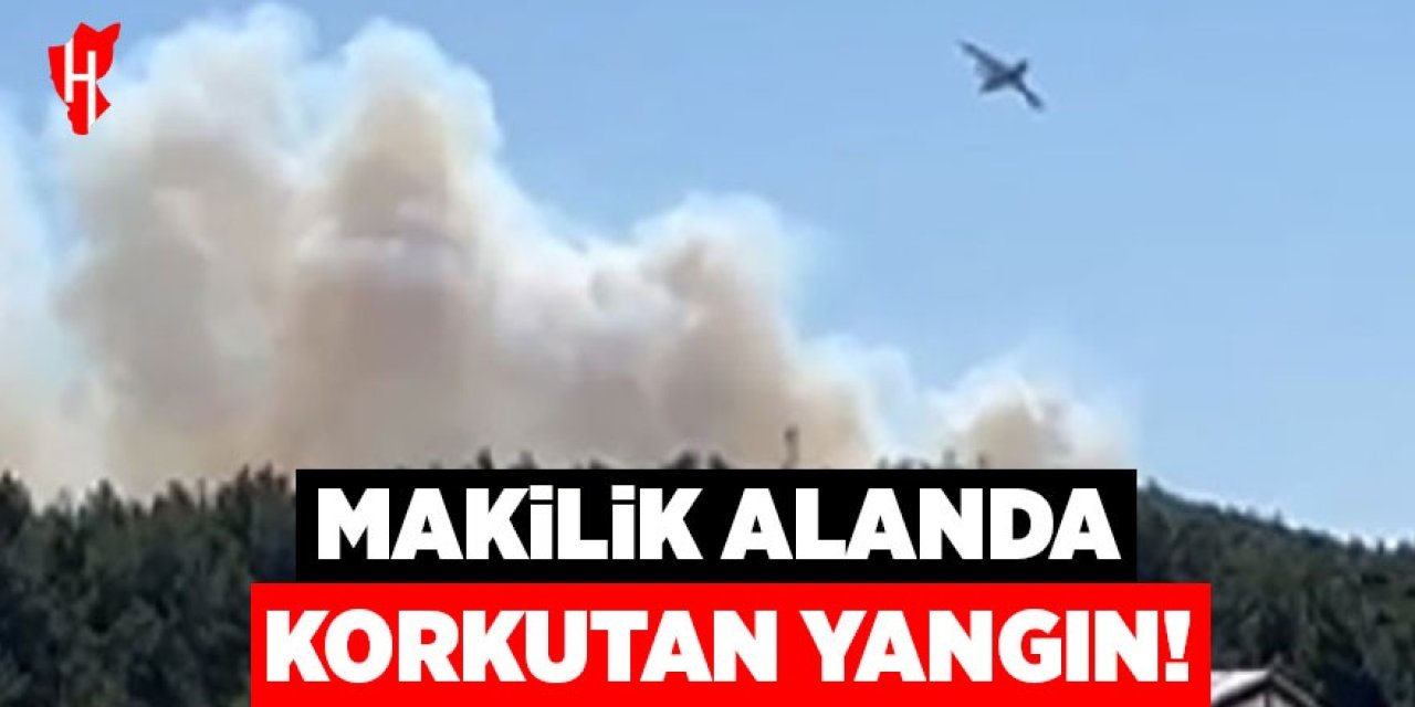 Makilik alanda korkutan yangın