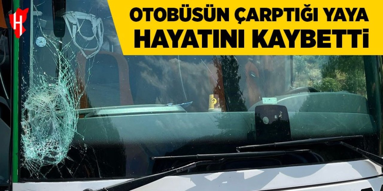 Otobüsün çarptığı yaya hayatını kaybetti