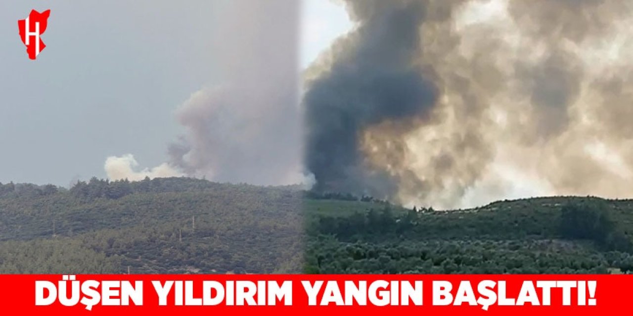 Düşen yıldırım yangın başlattı
