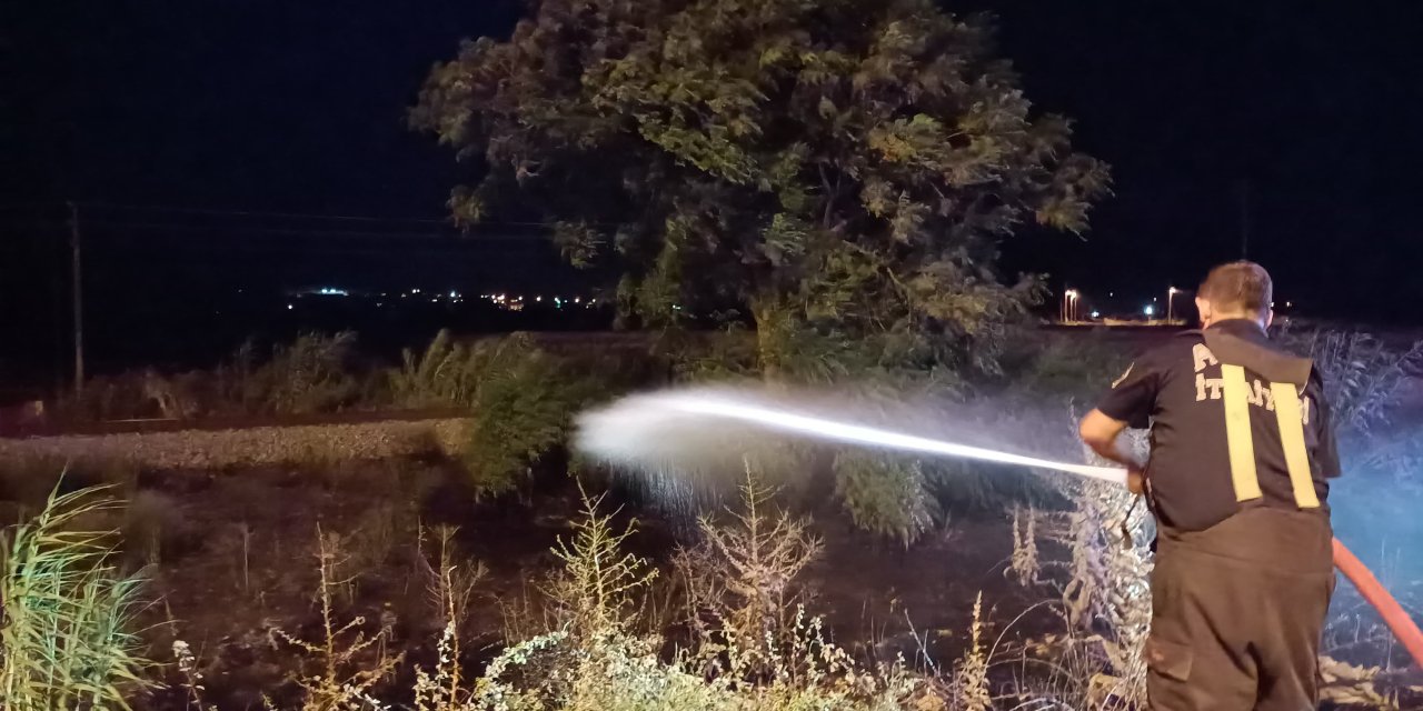 Nazilli’de karayolunda otluk alanda yangın çıktı