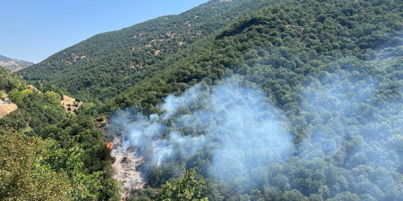 Nazilli'de ormanlık alanda yangın çıktı