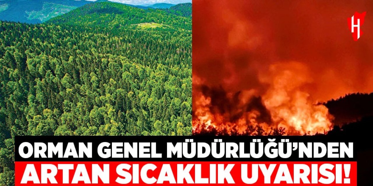 Orman Genel Müdürlüğü'nden artan sıcaklık uyarısı!