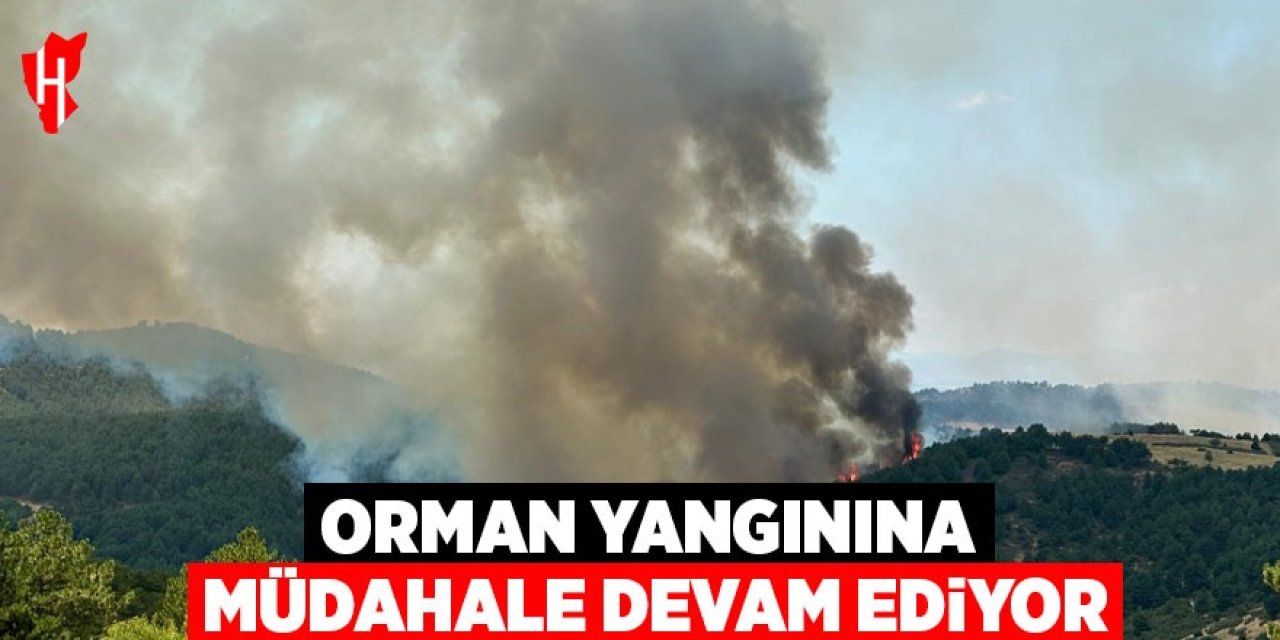 Orman yangınına müdahale devam ediyor